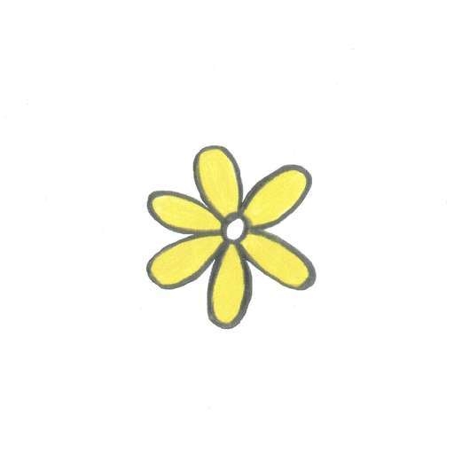 daisy